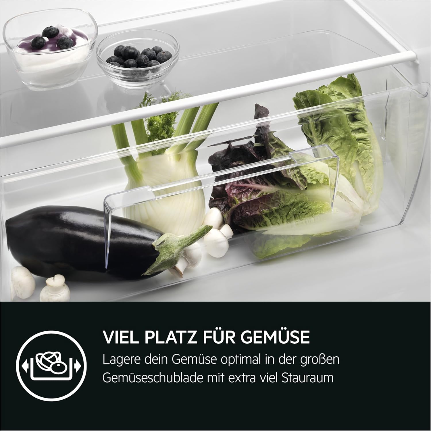 AEG TSK5O881ES Built-In Fridge / 880 mm / 142 L/Tow Door/E