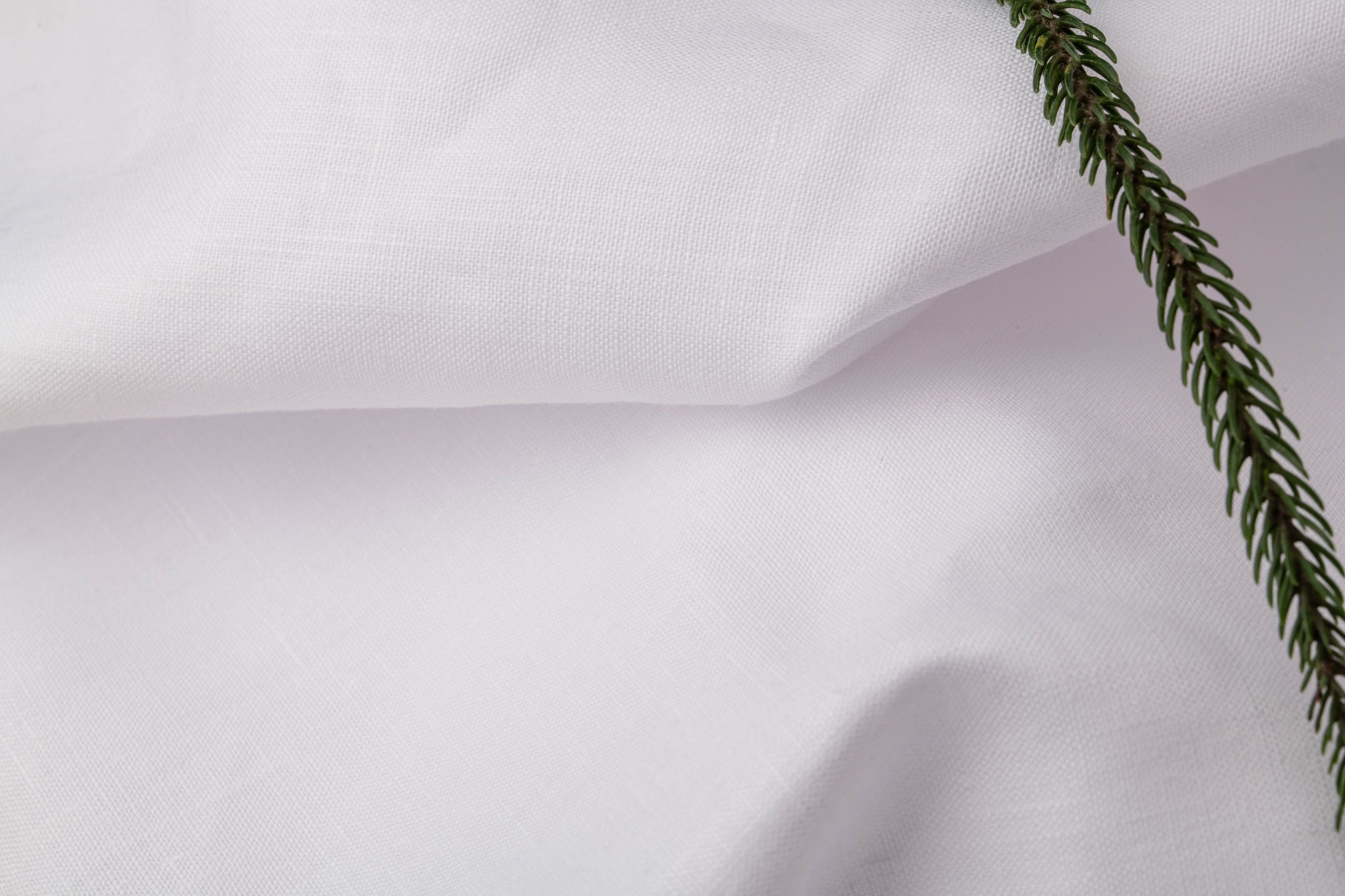 Cannabus ¨C Plain White